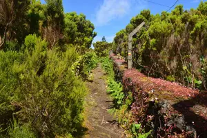 Tour image of Hiking Trail: Passagem das Bestas - Terceira Island
