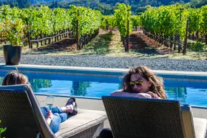 Tour image of Napa Valley's Best Wine Tour w/ Local Expert