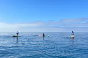 Tour image of Laguna Beach Stand Up Paddle Activity