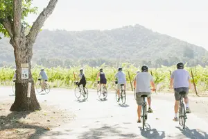 Tour image of Half-Day Napa Valley E-Bike Tour