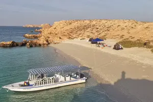Tour image of Snorkelling tours to Daymaniyat island