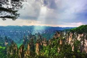 Tour image of Full-Day Private Tour of Zhangjiajie National Forest Park