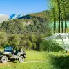 Image of Outback Tours