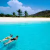 Image of Swimming
