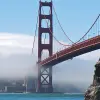 Image of Brunch Cruises