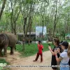 Image of Nature Walks