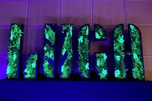 Tour image of LUGA 2025: The Lower World Exceptional Exhibit at the Aquatunnel