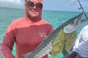 Tour image of Boat Tour , Catch & Cook | Creative Eco Adventures