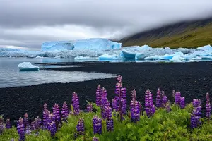 Tour image of Glacier Lagoon Diamond Beach and Stokksnes From Djúpivogur