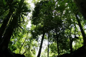 Tour image of Tikal Full-Day Group Tour