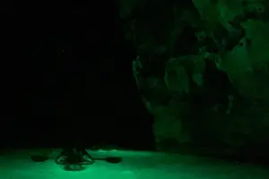 Tour image of Night Kayaking with Liquid Glow