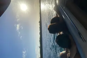 Tour image of Full-Day Luxury Private Rose Island Pigs and Turtles Excursion
