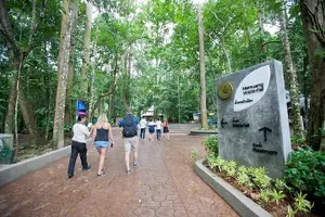 Tour image of Koh Samui Sightseeing Tour Around The Island