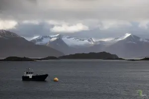 Tour image of Norwegian Fjords Tour, Including Professional Photos in Tromso