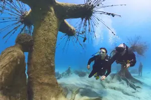 Tour image of Musan Underwater Park with private Guide- no certification needed