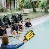 Image of Freediving