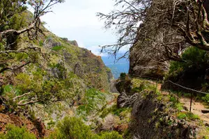 Tour image of Madeira Peaks - Mountain Walk