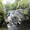 Image of Ziplining