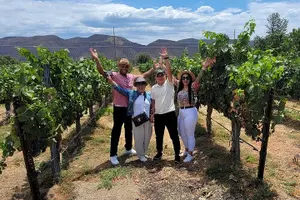 Tour image of DIY Winery Tour in Temecula