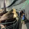 Image of Museums
