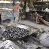 Image of Food Tours