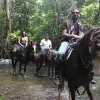 Image of Pack Animal Tours