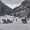 Image of Horseback Riding