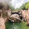 Image of Nature and Wildlife Tours