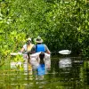 Image of Kayaking Tours
