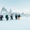 Image of Food Tours