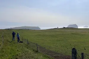 Tour image of PRIVATE 2-Hours Tour - Westman Islands with a local in a BMW X5