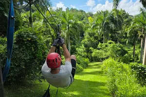 Tour image of El Yunque Ziplining in Puerto Rico
