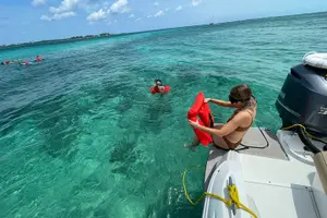 Tour image of Half-Day Luxury Private Rose Island Pigs and Turtles Excursion