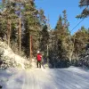 Image of Skiing