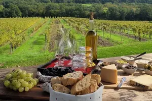 Tour image of Lunch at Chateau Lestevenie