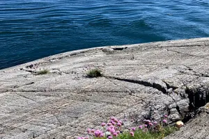 Tour image of Private Tour to Atlantic Road from Ålesund groups 1 to 40