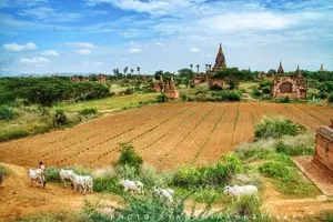 Tour image of Private Transfer Of Mandalay To Bagan