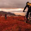 Image of Bike Rentals