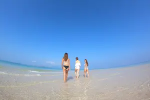 Tour image of Okinawa Ishigaki Phantom Island Snorkeling Tour