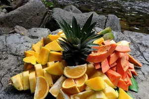 Tour image of Half-Day Tour: El Yunque Rainforest and Waterslide Adventure