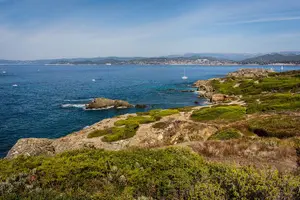 Tour image of Boat to paradisiac island & electric bike tour from Sanary port
