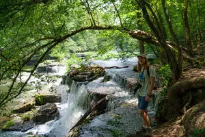 Tour image of Waterfall Wonders Hiking Tour with Brewery Stop from Nashville