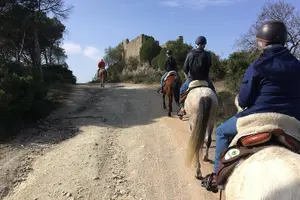 Tour image of Horseback Riding In Lisbon - Arrábida - Louro Trail Mountain 5 - 6 Hours