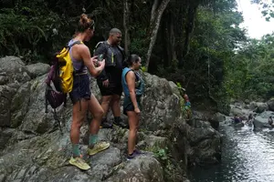 Tour image of El Yunque Rainforest Famous Waterslide Adventures with Transport