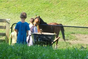 Tour image of Unique Amish Immersion in Lancaster