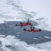 Image of Swimming