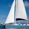 Image of Catamaran Cruises