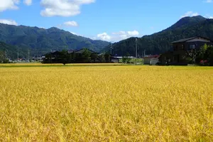 Tour image of Short Morning Cycling Tour in Hida