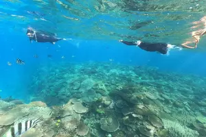 Tour image of Boat Snorkeling Trip 2 Rounds 【Minna, Sesoko , Motobu Okinawa】