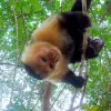 Image of Nature and Wildlife Tours